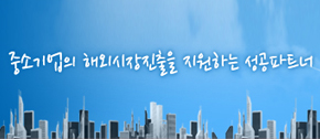 해외민간네트워크활용사업 
